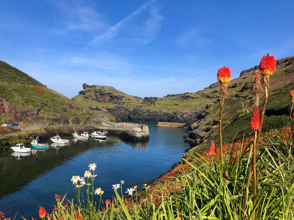Harbour Light Apartment Boscastle Ngoại thất bức ảnh